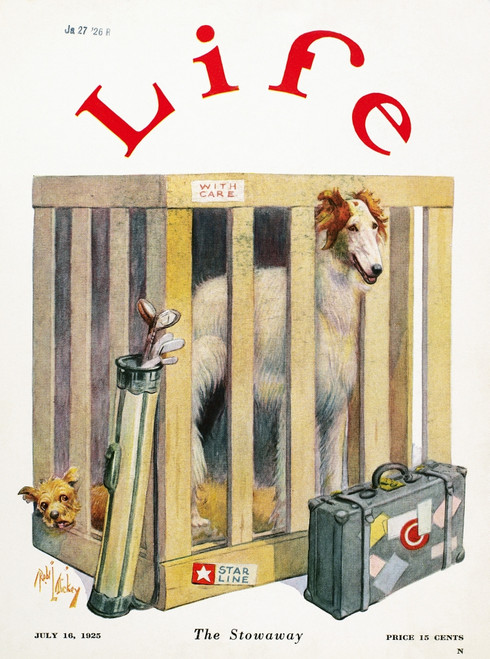 Magazine: Life, 1925. /N'Life' Magazine Cover, 16 July 1925. Poster Print by Granger Collection - Item # VARGRC0095849