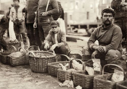 Boston: Fish Market, 1909. /Na Boy Selling Fish At An Outdoor Market In Boston, Massachusetts. Photograph By Lewis Hine, October 1909. Poster Print by Granger Collection - Item # VARGRC0132813 Boston: Fish Market, 1909. /Na Boy Selling Fish At An Outdoor Market In Boston, Massachusetts. Photograph By Lewis Hine, October 1909. Poster Print by Granger Collection - Item # VARGRC0132813