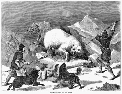 Polar Bear Hunt, 1868. /Nwood Engraving, 1868. Poster Print by Granger Collection - Item # VARGRC0054440 Polar Bear Hunt, 1868. /Nwood Engraving, 1868. Poster Print by Granger Collection - Item # VARGRC0054440