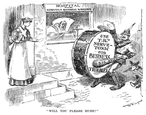 Roosevelt Cartoon, 1908. /Ncartoon About President Theodore Roosevelt'S Policies Toward Business. From The New York 'Herald,' C1908. Poster Print by Granger Collection - Item # VARGRC0085639