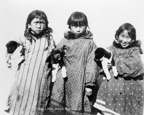 Alaska: Eskimos, C1904. /Nthree Young Eskimo Girls, Each Holding A Puppy, Alaska. Photograph, C1904. Poster Print by Granger Collection - Item # VARGRC0121884