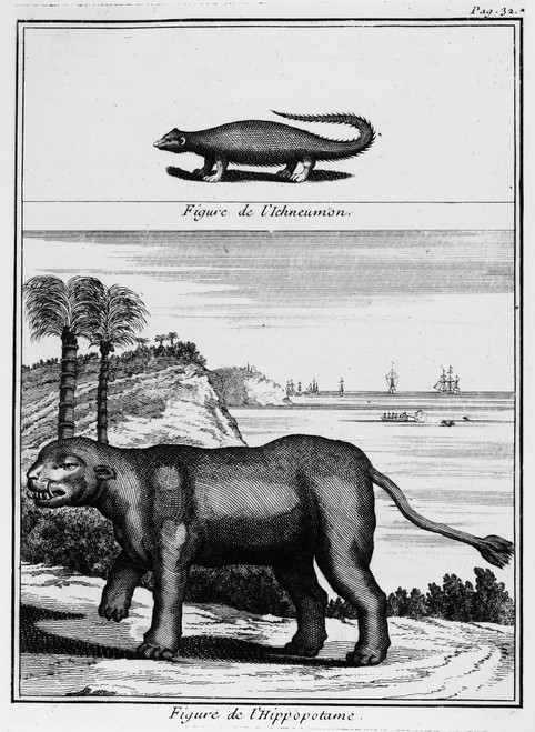 Hippopotamus, 1735. /Nline Engraving From Benoit De Maillet'S 'Description De L'Egypte,' 1735. Poster Print by Granger Collection - Item # VARGRC0114780