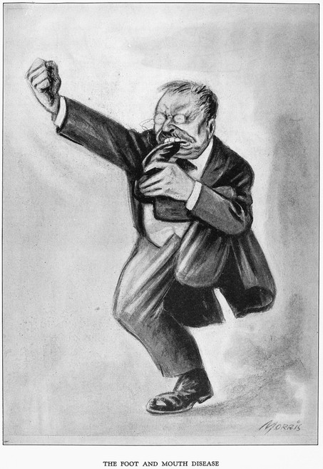 Roosevelt Cartoon, 1912. /N'The Foot And Mouth Disease.' Caricature Of Theodore Roosevelt During The Presidential Campaign, 1912. Poster Print by Granger Collection - Item # VARGRC0090157