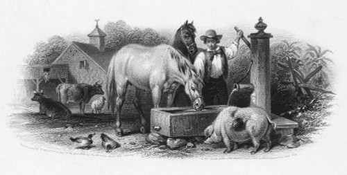 Farming, 1860. /Nbank Note Engraving, American, 1860. Poster Print by Granger Collection - Item # VARGRC0078028