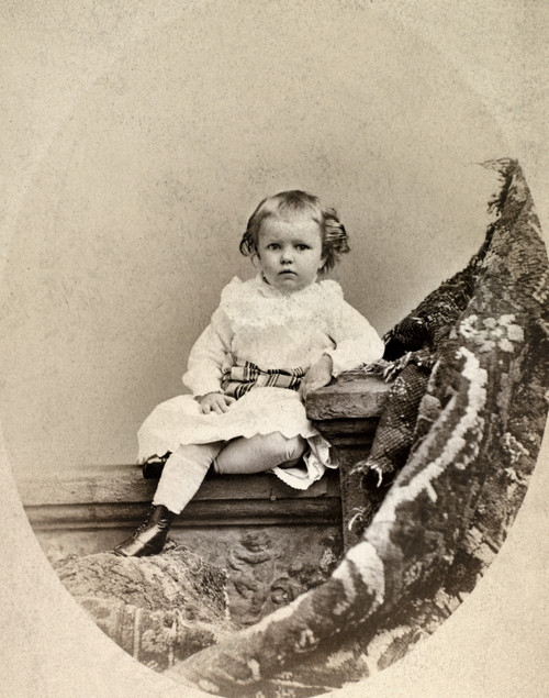 Young Girl, 1877. /Ncabinet Photograph Of Three-Year-Old Ethel Hunt, From The New York Studio Of Napoleon Sarony, 1877. Poster Print by Granger Collection - Item # VARGRC0093865
