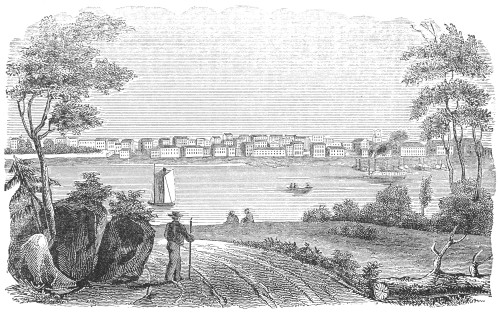Kentucky: Louisville, 1850. /Nwood Engraving, C1850. Poster Print by Granger Collection - Item # VARGRC0082457