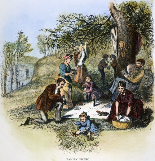 Family Picnic, 1875. /Nwood Engraving, American, C1875. Poster Print by Granger Collection - Item # VARGRC0065444