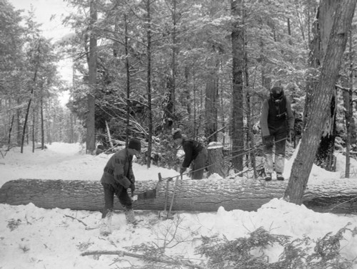 Michigan: Lumberjacks. /Ncutting Lumber During The Winter In Michigan. Photograph, C1880-1899. Poster Print by Granger Collection - Item # VARGRC0118575