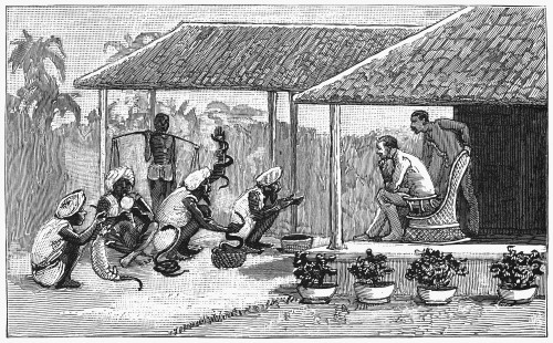 India: Snake Charmers, 1887. /Nsnake Charmers Performing For A British Colonial In India. Wood Engraving, English, 1887. Poster Print by Granger Collection - Item # VARGRC0371102