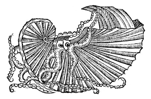 Sea Creature, 16Th Century. /Nwoodcut, French, 16Th Century. Poster Print by Granger Collection - Item # VARGRC0096524