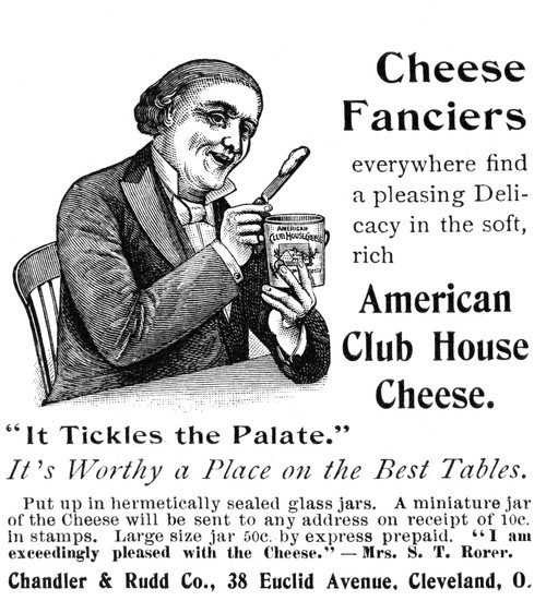 Cheese Advertisement, 1895. /Namerican Magazine Advertisement, 1895. Poster Print by Granger Collection - Item # VARGRC0075443