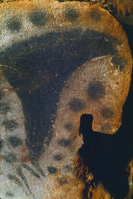 Cave Art: Horse. /Nhead Detail From A Painting Of A Dotted Horse On Limestone, In The Pech Merle Cave, Lot, France, C22,000 B.C. Poster Print by Granger Collection - Item # VARGRC0167873 Cave Art: Horse. /Nhead Detail From A Painting Of A Dotted Horse On Limestone, In The Pech Merle Cave, Lot, France, C22,000 B.C. Poster Print by Granger Collection - Item # VARGRC0167873