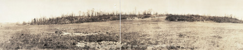 World War I: Belleau Wood, 1918. /Nview Of The Battlefield At Belleau Wood, France, 1918. Poster Print by Granger Collection - Item # VARGRC0113155 World War I: Belleau Wood, 1918. /Nview Of The Battlefield At Belleau Wood, France, 1918. Poster Print by Granger Collection - Item # VARGRC0113155