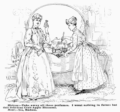 Housemaid, 1890. /Namerican Cartoon, 1890. Poster Print by Granger Collection - Item # VARGRC0093686