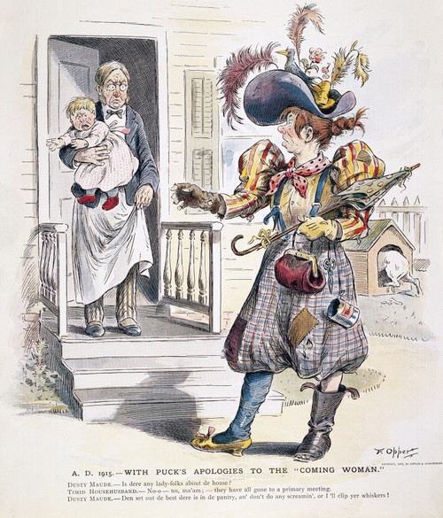Women'S Rights Cartoon. /Nan American Cartoon Of 1895 By Frederick Opper Predicting A Future Encounter Between A House-Husband And A Female Vagabond. Poster Print by Granger Collection - Item # VARGRC0009630