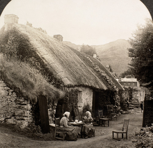 Scotland: Highland Home. /Na Home In The Scottish Highlands. Photographed C1902. Poster Print by Granger Collection - Item # VARGRC0094746