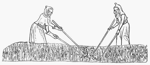 Peasants' Weeding, C1340. /Nline Drawing After An Illumination In The Loutrell Psalter, C1340. Poster Print by Granger Collection - Item # VARGRC0003845