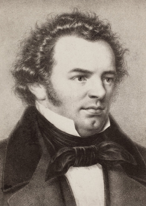 Franz Schubert (1797-1828). /Naustrian Composer. Lithograph, 19Th Century. Poster Print by Granger Collection - Item # VARGRC0043723