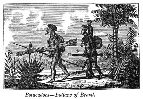 Brazil: Indians. /N'Botocudoes, Indians Of Brazil.' Wood Engraving, American, C1825-1840. Poster Print by Granger Collection - Item # VARGRC0000583