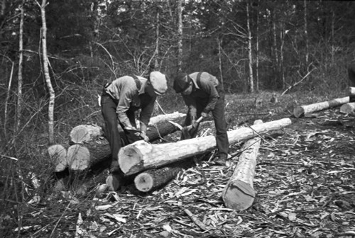 Log Strippers, 1936. /Ntwo Carpenters Stripping Logs For Shelters At Wilson Cedar Forest, Near Lebanon, Tennessee. Photograph By Carl Mydans, March 1936. Poster Print by Granger Collection - Item # VARGRC0120496