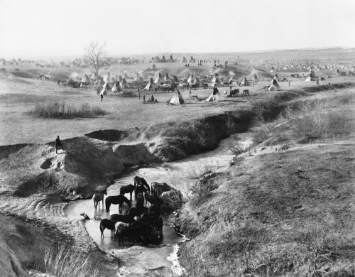 Sioux Native Americans, 1891. /Nencampment Of Brule And Oglala Sioux Native Americans On White Clay Creek, Near Pine Ridge, South Dakota. Photograph, 1891, By John C.H. Grabill. Poster Print by Granger Collection - Item # VARGRC0002347