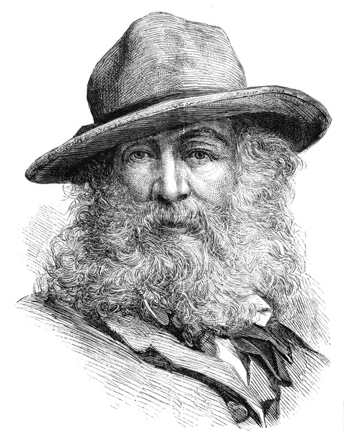 Walt Whitman (1819-1892). /Namerican Poet. Wood Engraving, 1876. Poster Print by Granger Collection - Item # VARGRC0005400