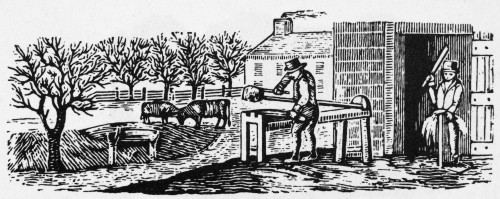 Farmer: Almanac Cut. /Nwood Engraving, American, 19Th Century. Poster Print by Granger Collection - Item # VARGRC0078014