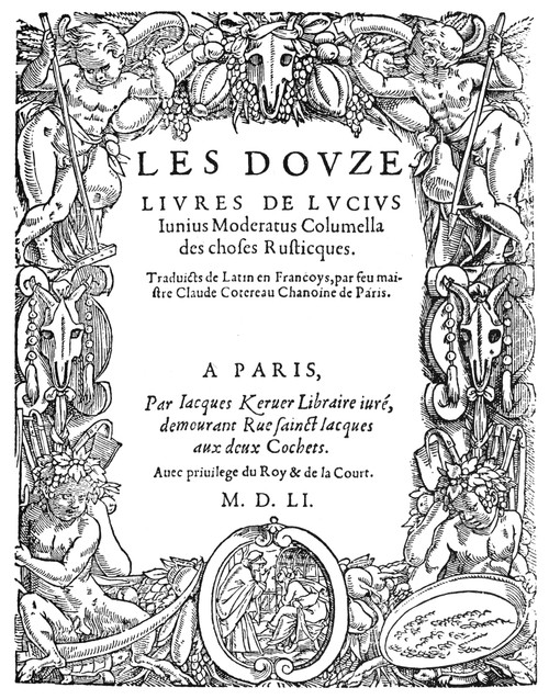 Cartouche, 1551. /Nwoodcut, French, 1551. Poster Print by Granger Collection - Item # VARGRC0076506