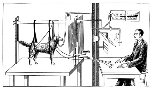 Pavlovian Experiment on Dog Poster Print by Science Source - Item # VARSCIJA0034