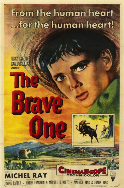 The Brave One Movie Poster Print (27 x 40) - Item # MOVII1949