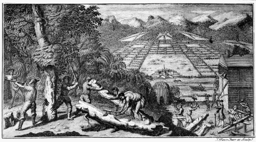 View Of Savannah, Georgia. /Nan Imaginative View Of Savannah, Georgia, But Showing Colonial Construction Methods In Accurate Detail. Line Engraving, English, 1733. Poster Print by Granger Collection - Item # VARGRC0075612
