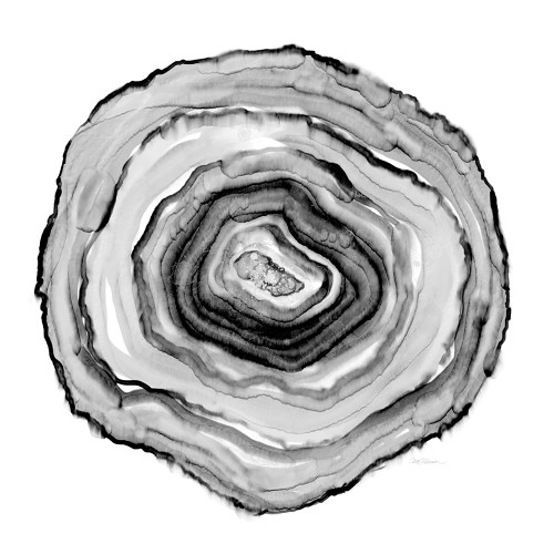 Black and White Poster Print by Carol Robinson - Item # VARPDX17909