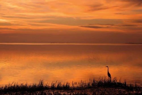 Crystal Beach Sunset Poster Print by Mike Jones - Item # VARPDXPOD5826