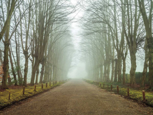 Dreamscape Wonder Poster Print by Assaf Frank - Item # VARPDXPOD5786