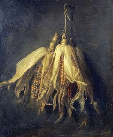 Three Corncobs Hanging From a Nail Poster Print by Cornelis Van Spaendonck - Item # VARPDX265765