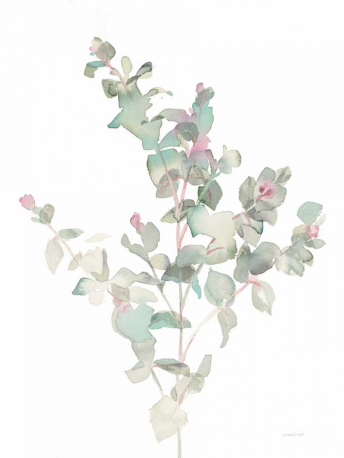 Eucalyptus II White Poster Print by Danhui Nai - Item # VARPDX35490