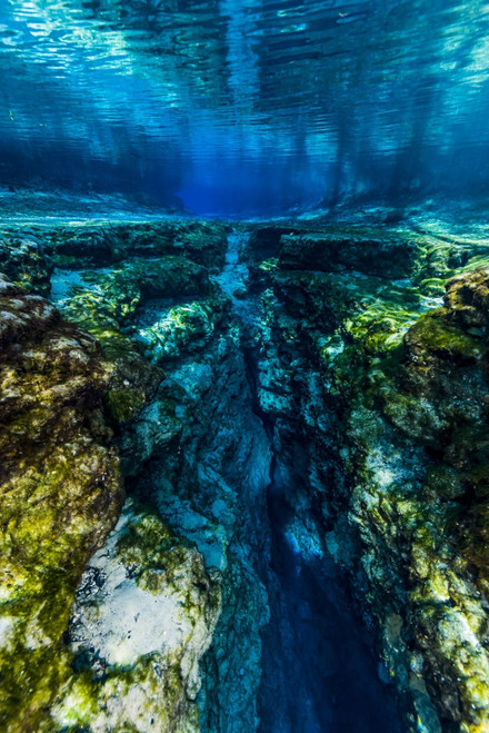 Ginnie Springs in Florida Poster Print by Jennifer Idol/Stocktrek Images - Item # VARPSTJDL400173U