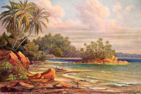 Cocos-Insel bei Belligemma Ceylon Poster Print by Ernst Haeckel - Item # VARPDX458708