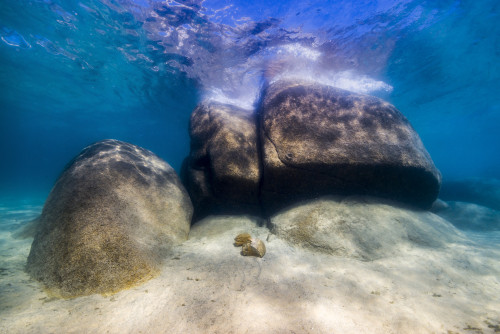 Boulders in Lake Tahoe, Nevada Poster Print by Jennifer Idol/Stocktrek Images - Item # VARPSTJDL400080U