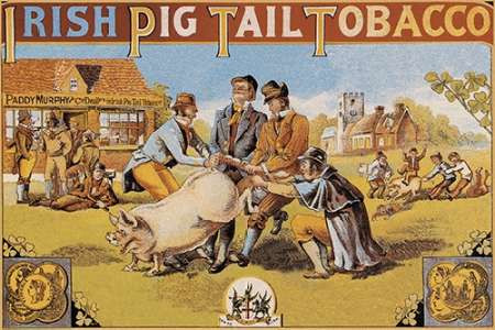 Pigs and Pork: Irish Pig Tail Tobacco Poster Print by Advertisement - Item # VARPDX454866