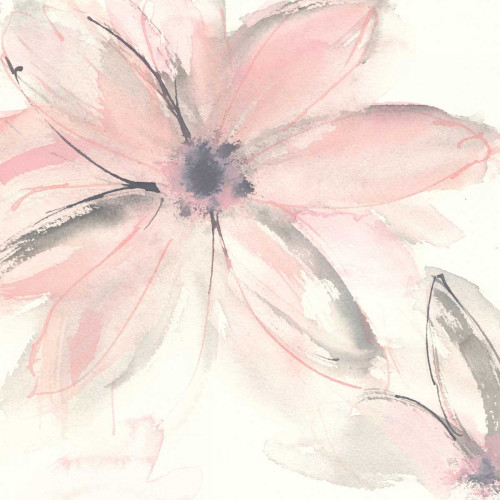 Blush Clematis II Poster Print by Chris Paschke - Item # VARPDX33993HR