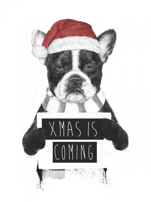 Xmas is Coming Poster Print by Balazs Solti - Item # VARPDXS1563D