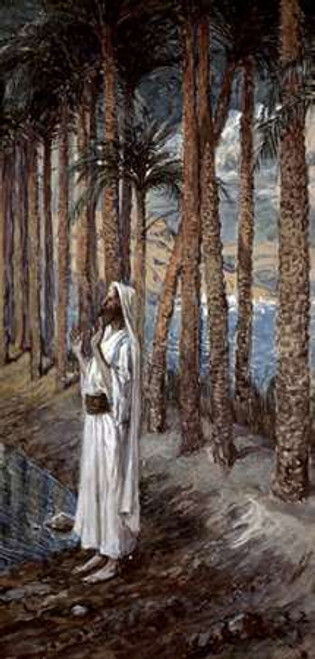 Palm Tree Poster Print by James Tissot - Item # VARPDX280451