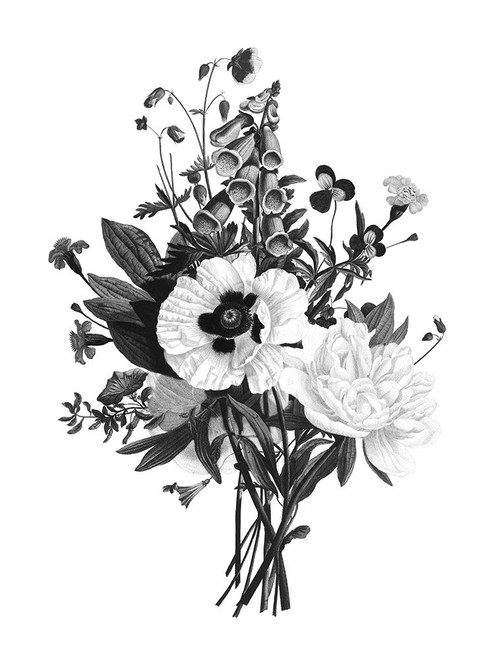 Botanical Black and Poster Print by Kelly Donovan - Item # VARPDX18879