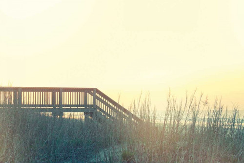 Boardwalk to the Beach Poster Print by Sue Schlabach - Item # VARPDX34383HR
