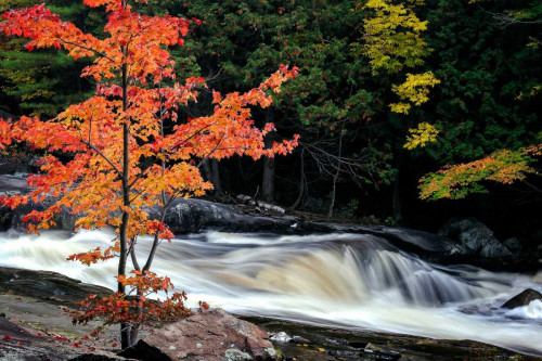 Autumn, Lower Rosseau Falls Poster Print by David W. Pollard - Item # VARPDXP1123D