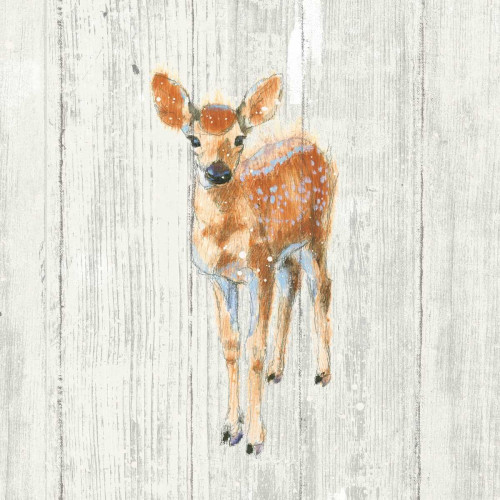 Into the Woods III no Border on Barn Board Poster Print by Emily Adams - Item # VARPDX26477