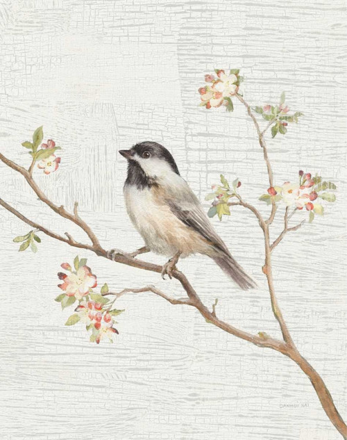 Black Capped Chickadee Vintage v2 Poster Print by Danhui Nai - Item # VARPDX32264