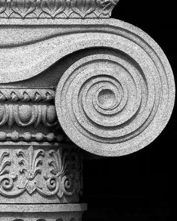 Column detail, U.S. Treasury Building, Washington, D.C. - Black and White Variant Poster Print by Carol Highsmith - Item # VARPDX463832