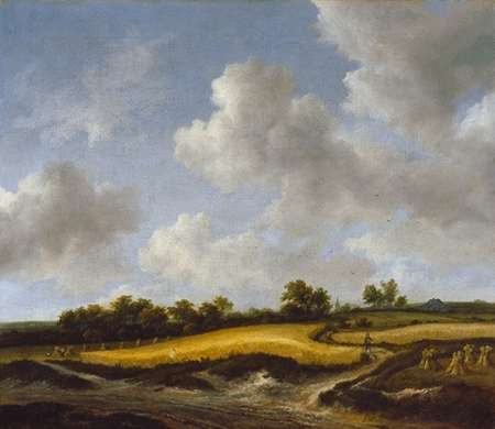 Landscape with a Wheatfield Poster Print by Jacob Van Ruisdael - Item # VARPDX460011